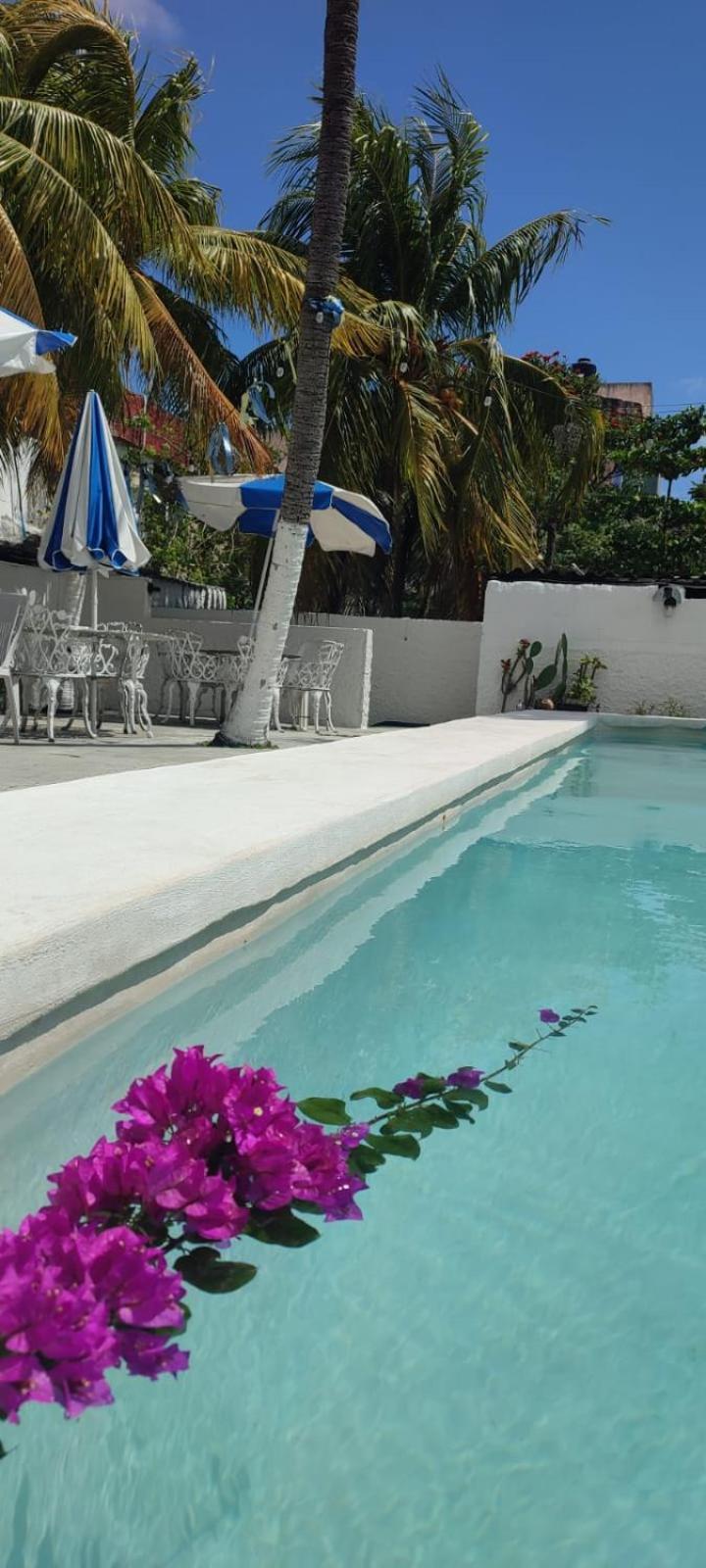 קנקון Hotel Coral מראה חיצוני תמונה